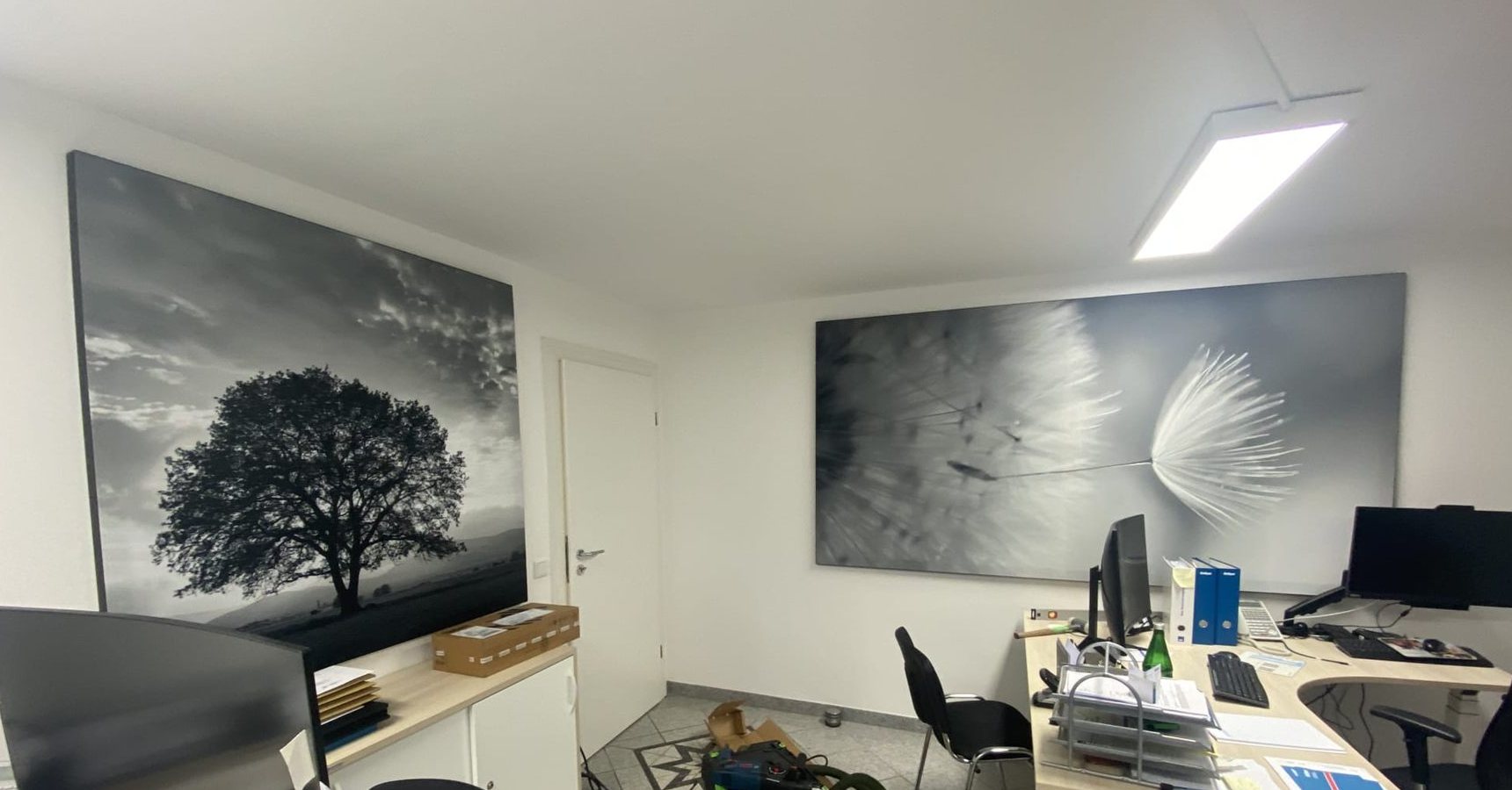 Großformatige Schallschutzbilder mit Baum- und Pusteblumen-Motiv im Büro der Gothaer